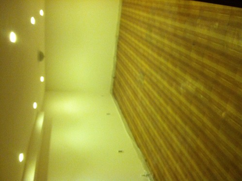 Enlarged view of image