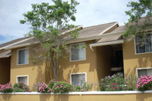 Enlarged view of image