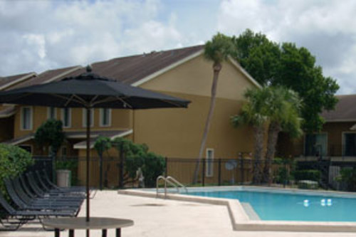 Enlarged view of image